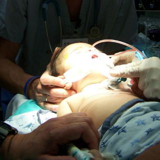 Cinco millones de bebés nacidos por fecundación in vitro desde 1978