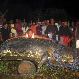 El cocodrilo más grande del mundo en cautividad está en Filipinas