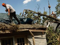 Trabajadores quitan un árbol que cayó a causa de la tormenta del viernes pasado. AFP  /