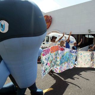 Apoya México creación de reserva para proteger ballenas