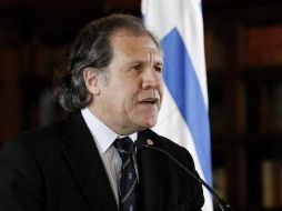 Uruguayo sorprendió al afirmar, a través de Luis Almagro, que el ingreso de Venezuela al Mercosur no es definitivo. ARCHIVO  /