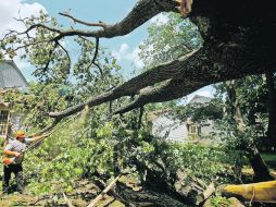 Un hombre tala las ramas de un roble rojo gigante que se vino abajo tras la tormenta del viernes, en Silver Spring, Maryland. AFP  /