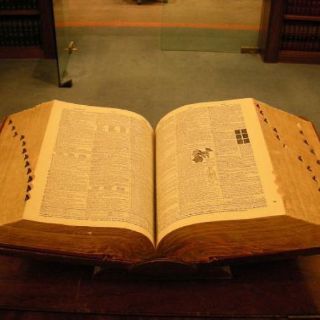 Fundéu BBVA: ''tópico'' no es ''tema'', ''materia'' ni ''asunto''