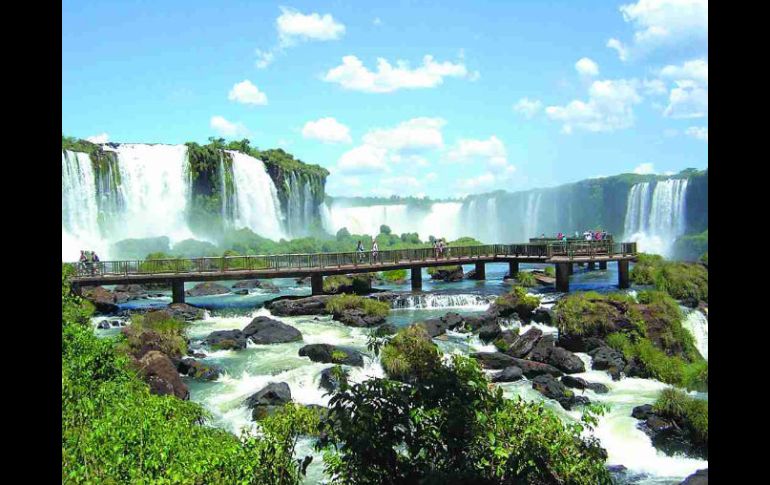 ''La mayor lección que tenemos es la naturaleza'' argumenta el Director de agua buena Friedrich. ESPECIAL  /