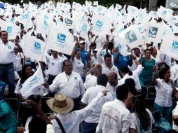 El Panal asegura que superaron el 3.5% de votación que marca el Código Electoral. ARCHIVO  /