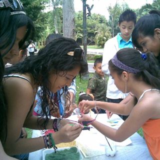 Un verano increíblemente azul