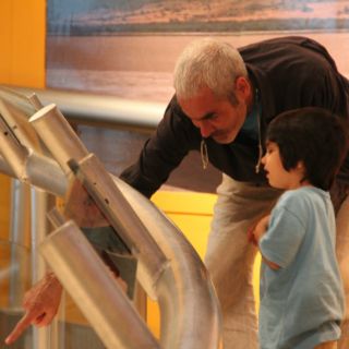 Guía Pingo 4 de julio