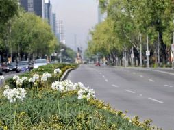 La muestra podrá ser admirada hasta el 23 de julio próximo, entre la Glorieta de la Palma e Insurgentes, en Paseo Reforma. ARCHIVO  /