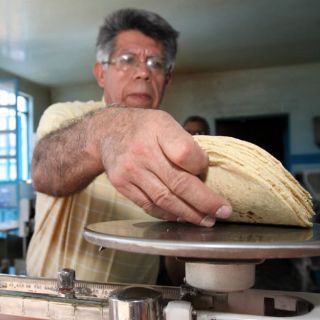 Realizan programa para modernizar industria de la tortilla en Jalisco