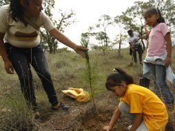 Miembros de la organización Extra señalaron que más que ir por la cantidad, apuestan por la calidad del área sembrada. ARCHIVO  /