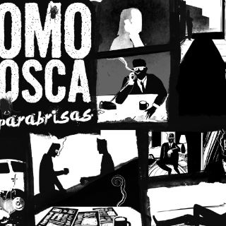 Como Mosca en parabrisas