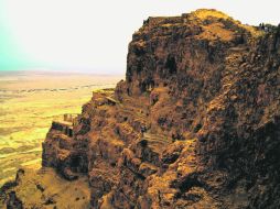 La fe habita el diserto  /