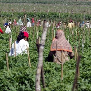 Postergan ley que busca legalizar a un millón de indocumentados