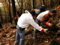 La Profepa se encuentra inspeccionando los tipos de vegetación dañados en La Primavera, tras el incendio. ARCHIVO  /