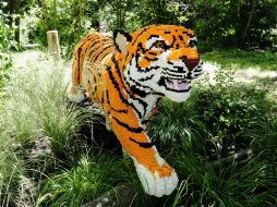 Se busca concienciar a los visitantes sobre los peligros que amenazan la supervivencia de estas especies. EFE  /