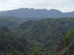 La Faja de Oro del Café de Veracruz es escenario de proyecto que busca elevar la calidad de vida de agricultores. ID  /