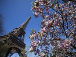 Se trata de unas cuatro hectáreas en un barrio turístico, relativamente cerca de la Torre Eiffel o del museo del Louvre. ARCHIVO  /