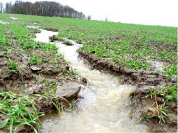La idea de esta investigación es precisamente obtener métodos eficientes y económicos para eliminar contaminantes del agua. ESPECIAL  /