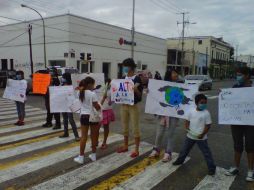 Los pequeños, con pancartas sobre el medio ambiente, repartieron folletos a los automovilistas.  /