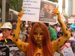Manifestantes protestan en el Ángel de la Independencia contra el maltrato animal. EL UNIVERSAL  /
