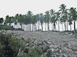 Playa de Tenacatita, caso similar al de Careyitos, en el que se comprobó el incumplimiento de la empresa concesionaria.  /