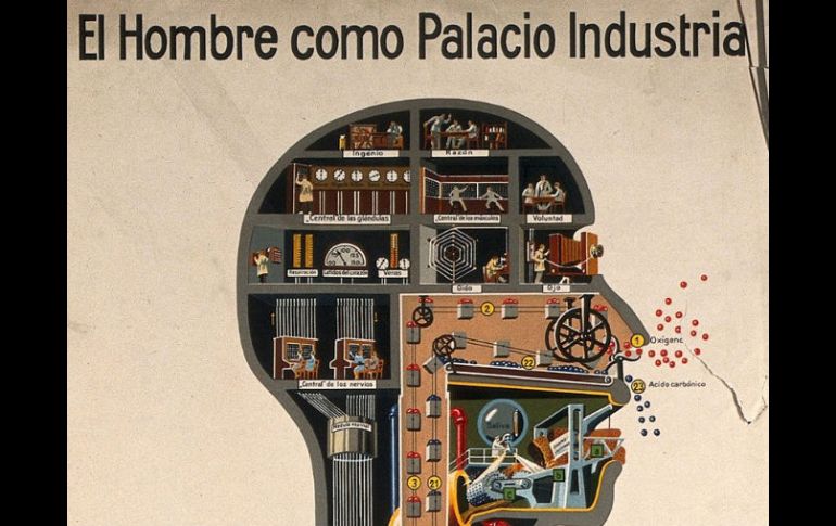 La litografía ''El hombre como palacio industrial'' de Fritz Kahn,  forma parte de la exposición ''Superhombre''. EFE  /