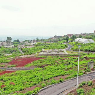 Nuevo campus no está peleado con parque: UdeG