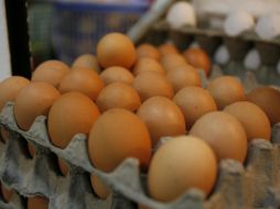 Aproximadamente 2% de los niños tienen alergia al huevo, lo que provoca daños a su salud. ARCHIVO  /