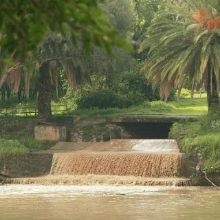 Son cinco los ''grandes'' colectores en Guadalajara