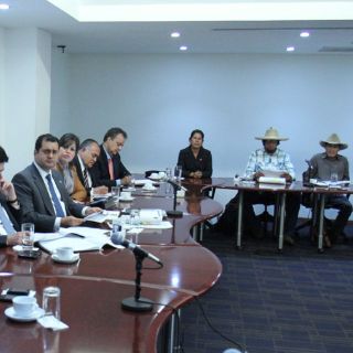 Abren zanjas para frenar tala ilegal en Cherán