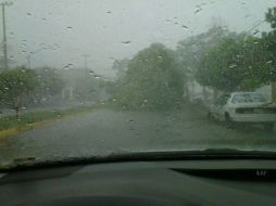 La lluvia impedía la visibilidad de los automovilistas. En la imagen árbol derribado en calle maestros. @pezdelarivera  /
