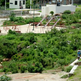 Cerro del Cuatro es un pulmón para la ZMG