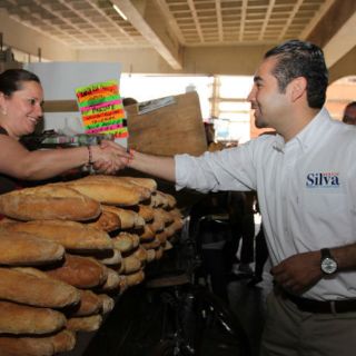 Cambio a uso de suelo, capricho político: Sergio Silva