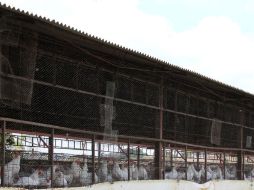 El sector avícola de los municipios de Tepatitlán y acatic son los afectados por la posible presencia del virus AH7N3. ARCHIVO  /