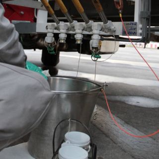 Prueban en Cuba biocombustible de 'piñón botija'