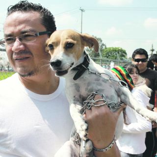 Una fiesta para ladrar y babear de gusto