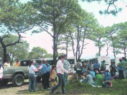 REFORESTAN EL BOSQUE. Más de dos mil voluntarios se dieron cita para integrar 36 mil nuevos árboles al área protegida.  /