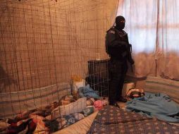La Policía Federal desmanteló una banda de secuestradores llamada ''Los Tolmex'', quienes retenían a sus víctimas en jaulas. NTX  /