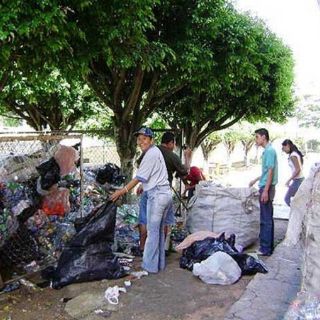 Si se formaliza, el reciclaje daría 10 a 15 mil MDP de impuestos