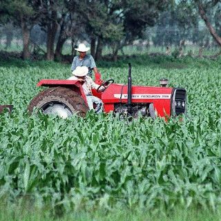 Sagarpa entrega cheques por 19 MDP a productores de Los Altos