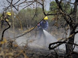 La lucha contra las llamas se vio favorecida por un aire más húmedo y menor viento. AFP  /
