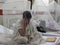 La enfermedad, transmitida por el mosquito aedes aegypti puede ser mortal en su modalidad hemorrágica. ARCHIVO  /