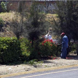 Tlaquepaque admite que no ha actuado contra talas clandestinas