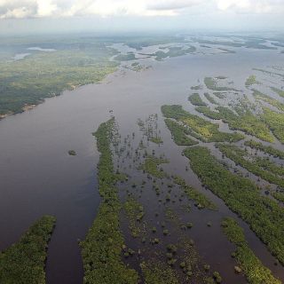 La biodiversidad de áreas tropicales protegidas está en peligro