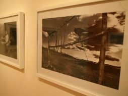 Se inaugurará la exposición el próximo 30 de agosto. ARCHIVO  /