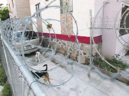 Las mejores protecciones suelen fallar en Tonalá, pero al menos desalientan a los ladrones, opinan los vecinos.  /