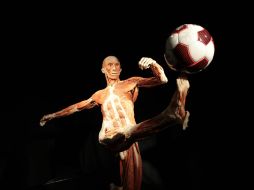 Fotografía que muestra una de las piezas que conforman la colección ''Body Worlds Vital 2012. NOTIMEX  /