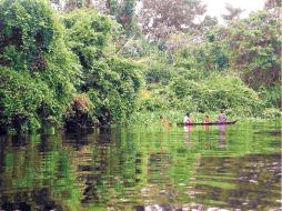 Orinoco. Hay recorridos por sus canales en kayuco o barco.  /