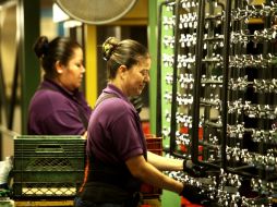 En el primer semestre de este año se generaron 121 mil puestos de trabajo formales más que en la primera mitad del 2011. ARCHIVO  /