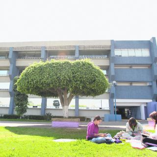 Educación con valores, fortaleza universitaria
